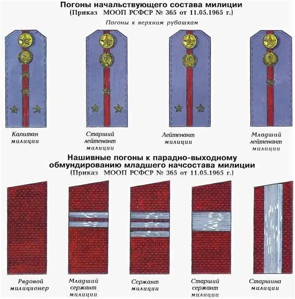 Как называется полоска на погоне. Как называется полоска на погоне