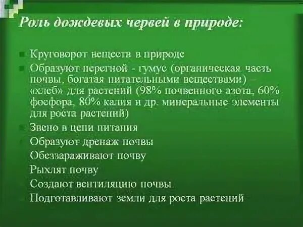 Каково значение в природе дождевых червей
