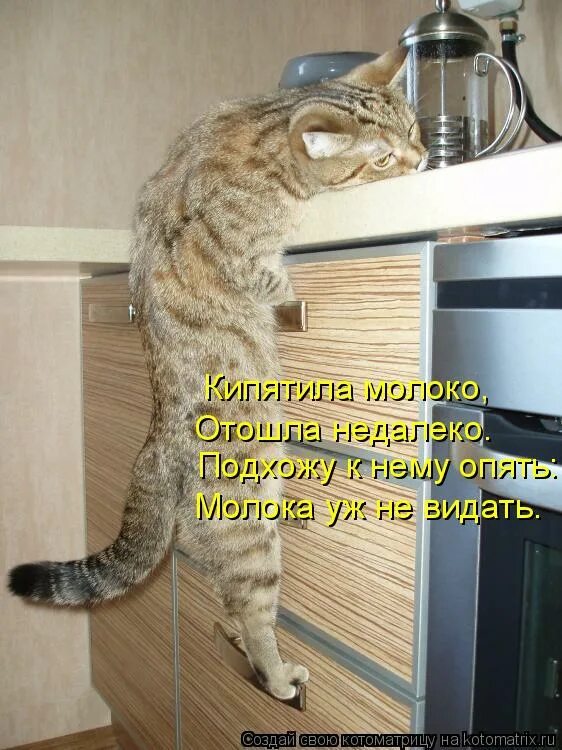 отошел недалеко. стример отошел. я тут картинки. как писать не далеко или недалеко правильно. автор отошел.