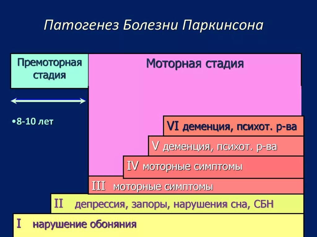 Этапы развития заболевания. Паркинсонизм этиология патогенез. Болезнь Паркинсона механизм развития. Болезнь Паркинсона этапы развития. Болезнь Паркинсона патогенез.