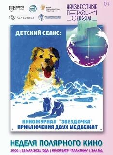 Афиша полярный