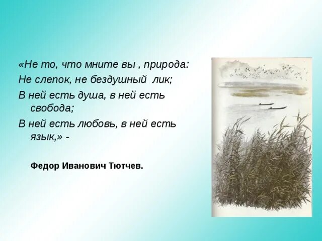 Не то что мните вы природа слушать. Природа не слепок не бездушный лик. не то что мните вы природа стих. в ней есть душа, в ней есть свобода, в ней есть любовь, в ней есть язык.. не то что мните вы природа тютчев стих.