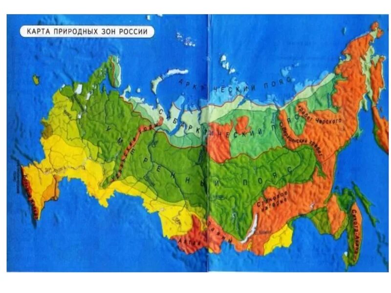 Основные зоны природы россии. Карта природных зон России. Географическая карта России с природными зонами. Природные зонытроссии. Карта России природные зоны России.