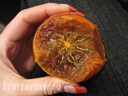 хурма темная. хурма в разрезе. бывают ли черви в хурме. хурма сорт чучупака. бывают ли черви в хурме.