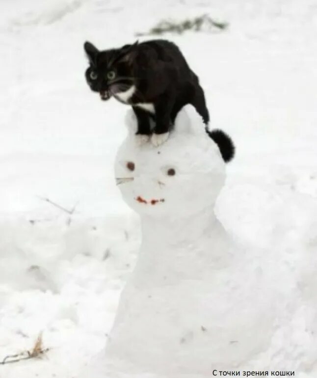 Пускай холодной и недолгой. Снеговик котик. Кот ругается. Кот стоящий в снегу. Заказчик недоволен кот.