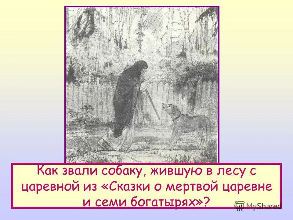 Сказка о мёртвой царевне и семи богатырях соколко. Пёс из сказки о мёртвой царевне и семи богатырях. Кличка собаки из сказки о мертвой царевне и семи богатырях. Сказка омёртвой царевне ио семи богатырях. Как звали собаку в сказке мертвая царевна.