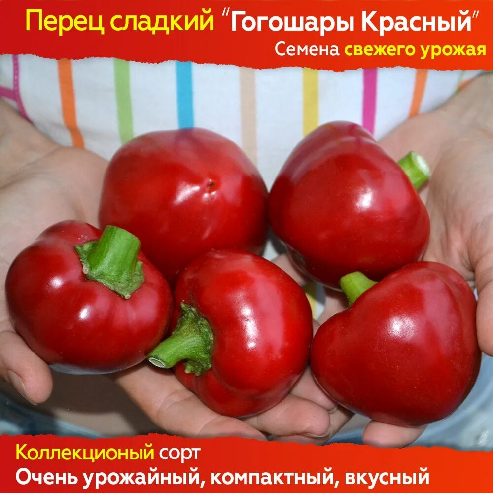 Перец сладкий гогошары. Перец колобок гогошар. Сорт перца ратунда. Болгарский перец гогошар. Перец гогошар и описание и фото отзывы.
