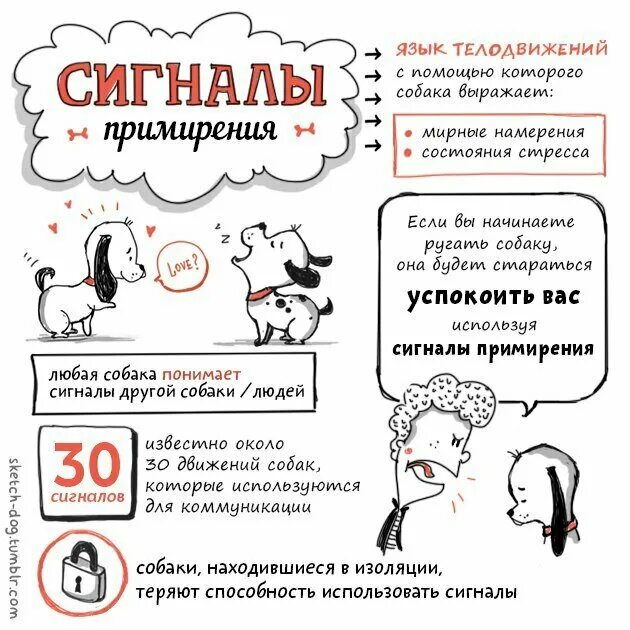Как успокоить щенка