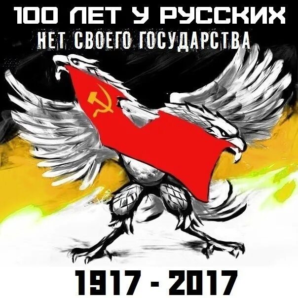 Русская Национальная государство. Русские националисты флаг с мечом. Россия национальное государство. Флаг русского национального государства