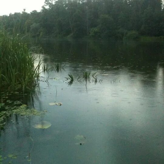 Уфимка озеро. Ломоносовское озеро уфа. Черное озеро уфа. Ломоносовское озеро. Чёрное озеро пензенская область.