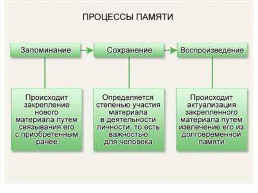 Память формы виды памяти. Основные процессы памяти схема. Основные процессы и механизмы памяти таблица. Процессы памяти запоминание. Характеристика основных процессов памяти в психологии.