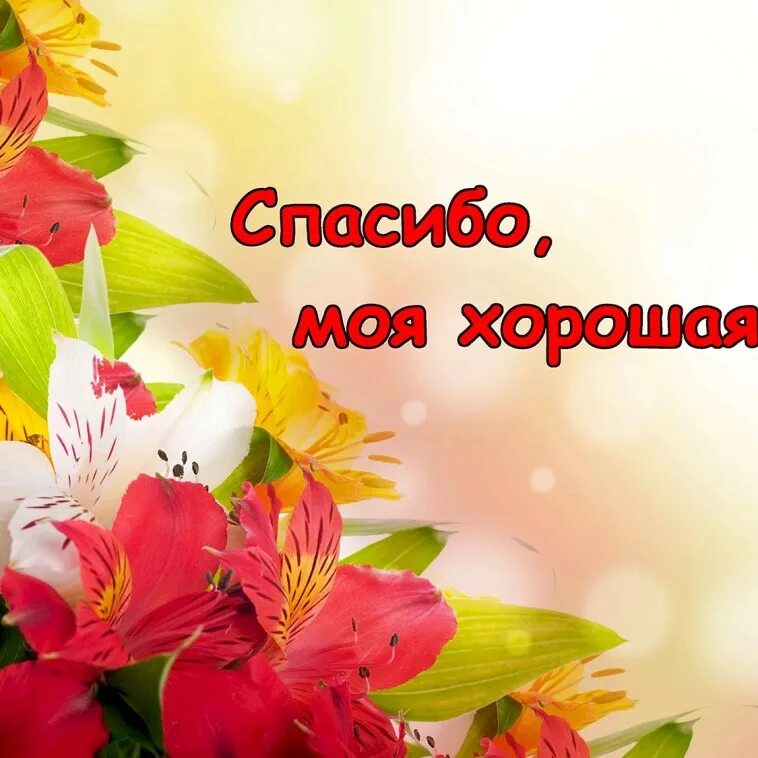 Picture background
