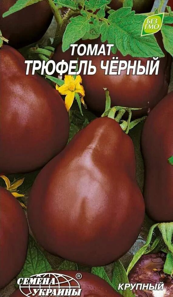 Томат японский трюфель черный. Семена томат японский трюфель. Томаты сорта трюфель. Томат французский трюфель. Помидоры трюфеля описание сорта