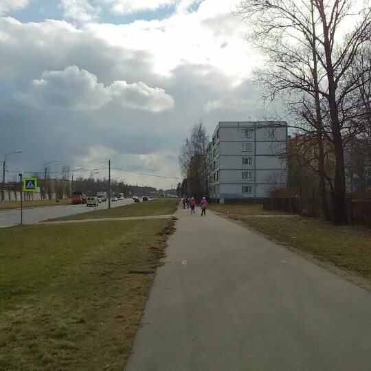 Медцентр ломоносов ораниенбаумский. Ораниенбаумский 21 фотографии.