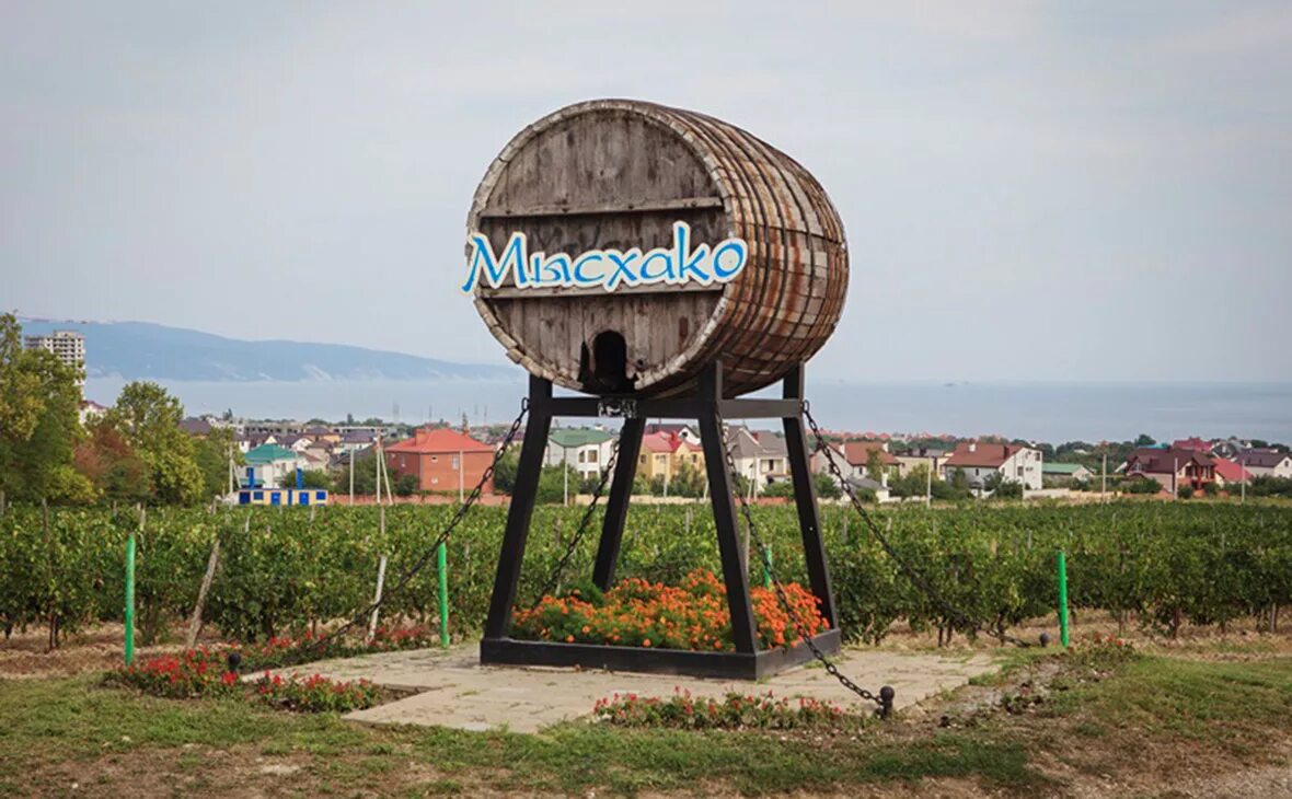 Мысхако блауфранкиш. Мысхако новороссийск. мысхако поселок. винзавод мысхако новороссийск. посёлок мысхако в новороссийске.