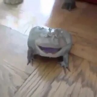 Крик жабы