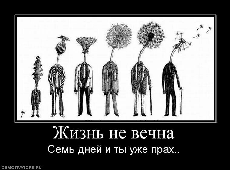 Живущий не вечно 8. Все мы не вечны. Все в жизни не вечно. Мы не вечны в этом мире. Ничто в нашей жизни не вечно.