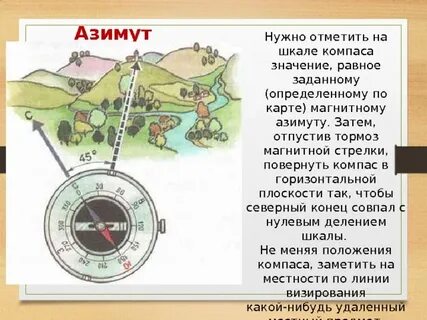 Определение места в жизни