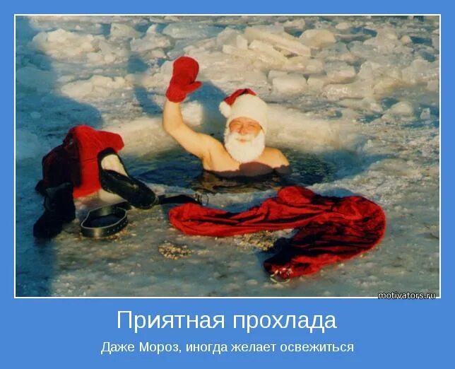 утренняя свежесть. раннее утро летом. природа рассвет. на восходе солнца. благословенного летнего вечера с пожеланиями.