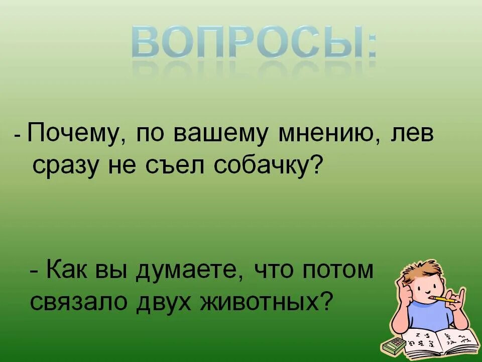 Вопросы к рассказу почему 2 класс. Лев и собачка вопросы. Лев и собачка вопросы к рассказу. Вопросы к произведению Лев и собачка. Лев и собачка толстой.