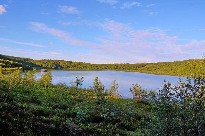Рогозеро фото. Рогозеро мурманск. Мурманск сопка озеро. Озеро рогозеро мурманск на карте. Рогозеро мурманск.