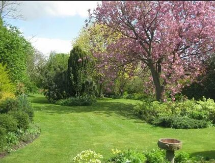 Big garden