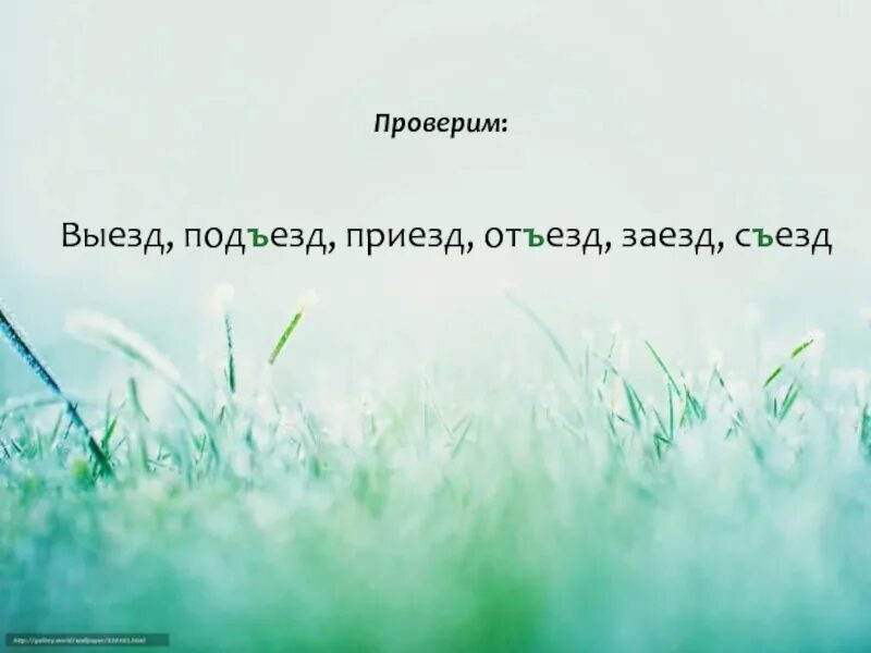 1 тимофея 2 глава