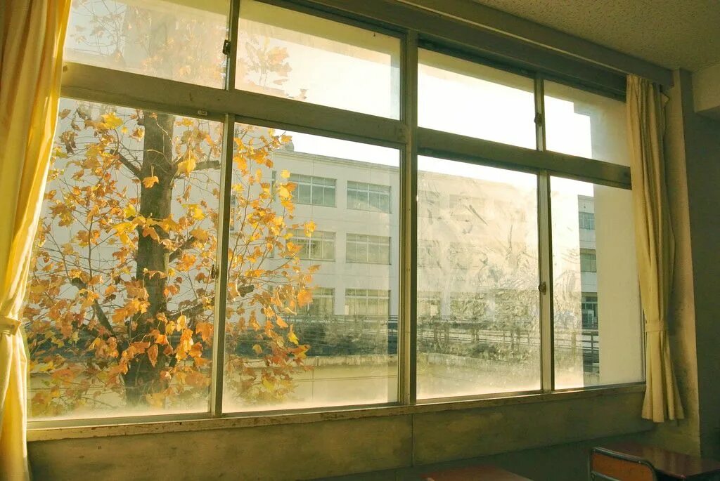 Window class. Classroom window. classroom from window. window in the classroom. classroom sliding window.