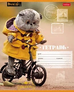 Басик отзывы