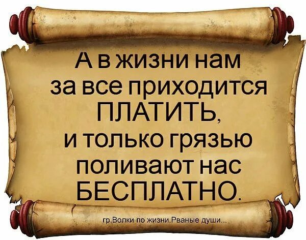 Как принимать платежи. Life pay logo. Лайф пей. Life pay. Оплатить жизнь.