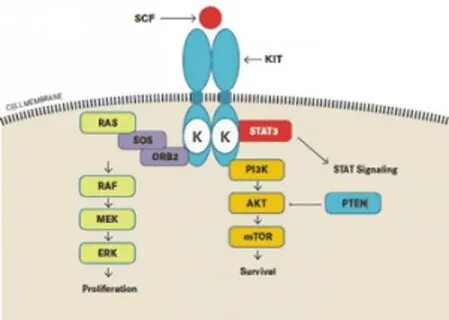Kit signaling