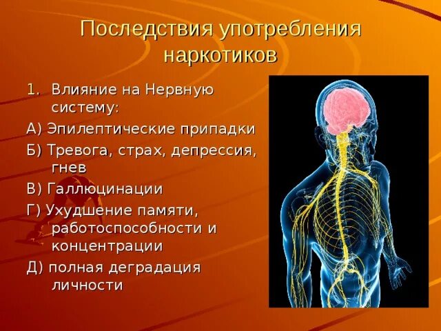 Нервные действия. Влияние наркотиков на нервную систему. Влияние наркотиков на ЦНС. Влияние наркотических веществ на нервную систему человека. Влияние наркотиков на системы органов.