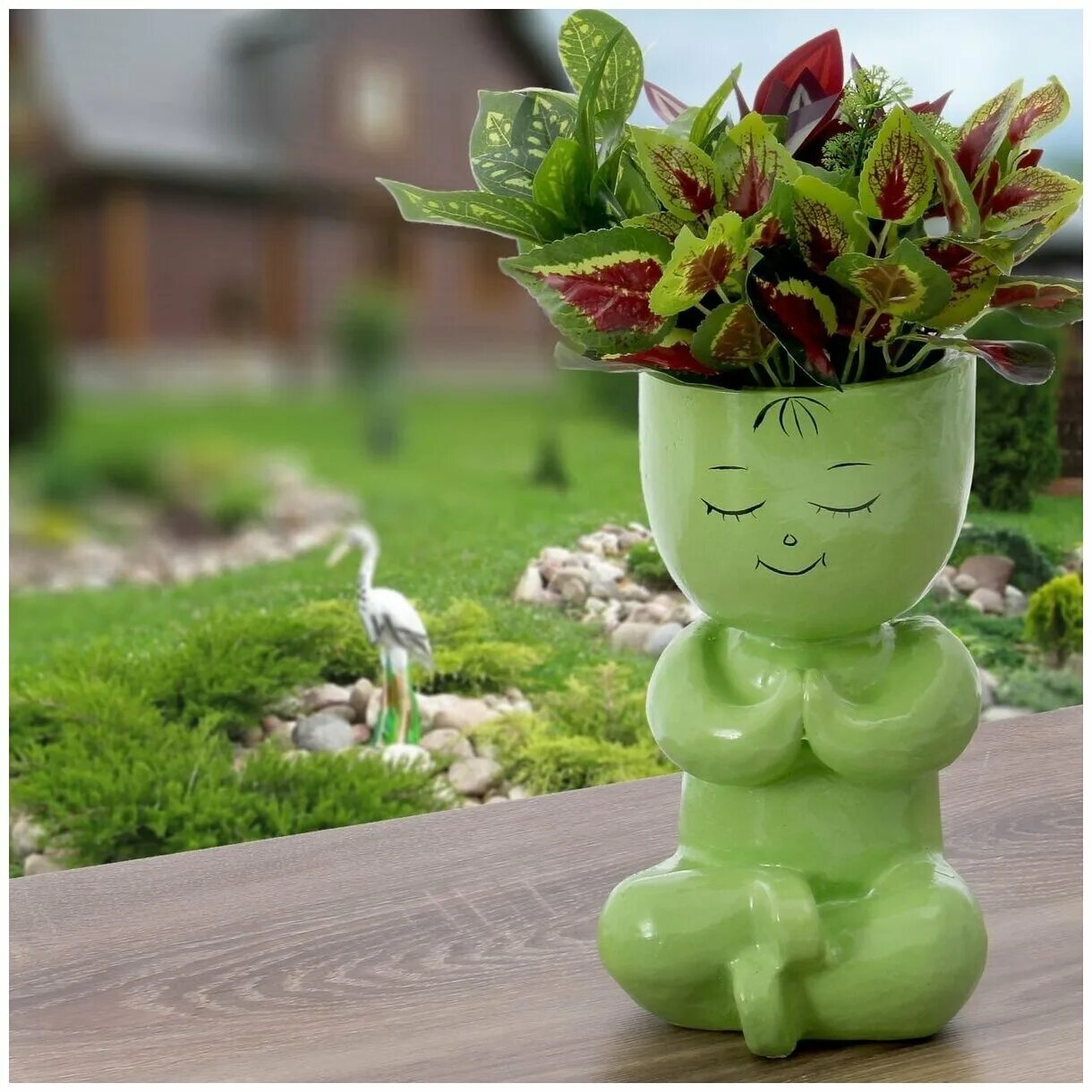 анютины глазки в горшке. виола ампельная.