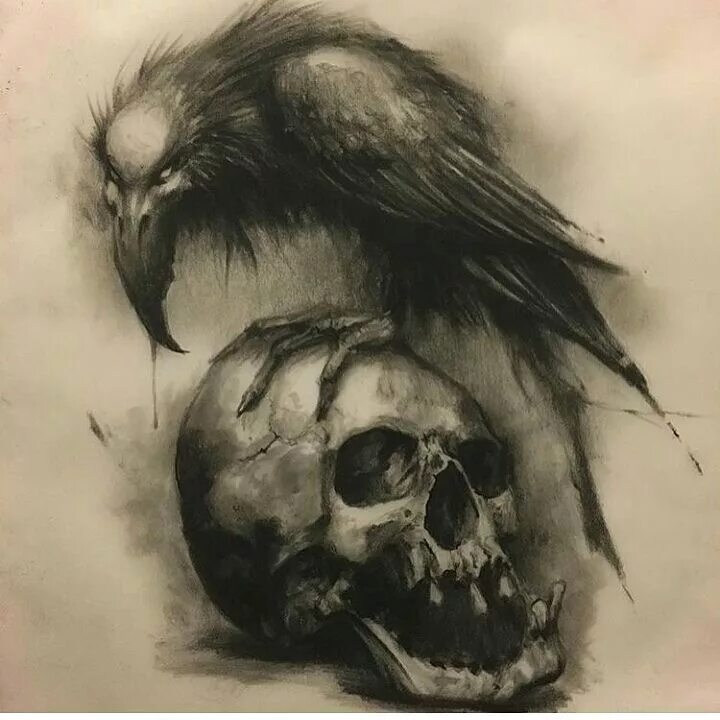 Ворон на черепе. Тату ворон сидящий на черепе. Тату череп с вороном. Ворон на черепе. Символ из фильма неудержимые.