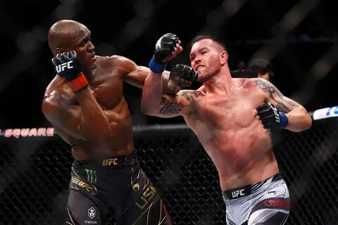Бой чемпиона ufc