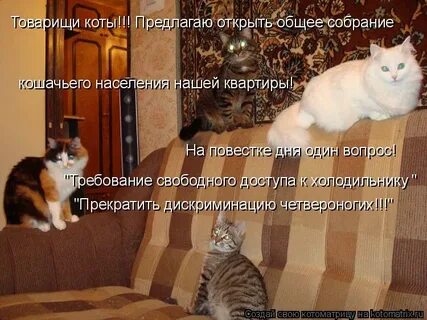 Кто то пойдет