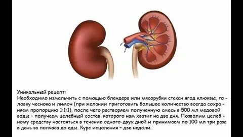 Может ли почка восстановиться