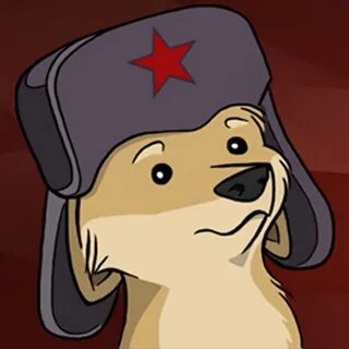 Собака товарищ