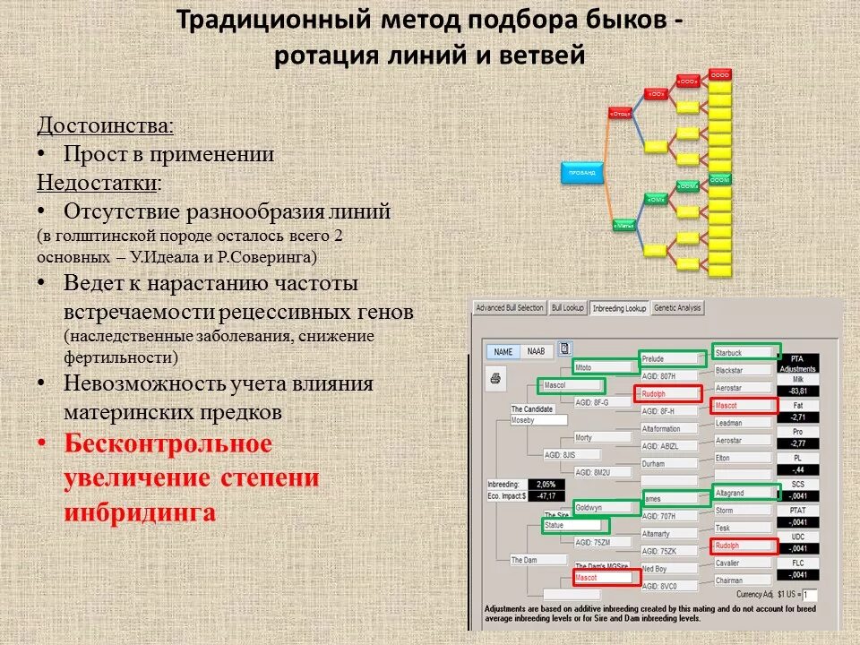 Ротация войск что это. План ротации. Схемы подбора Быков-производителей. Схема для урока ротации станций. Групповой подбор в скотоводстве.