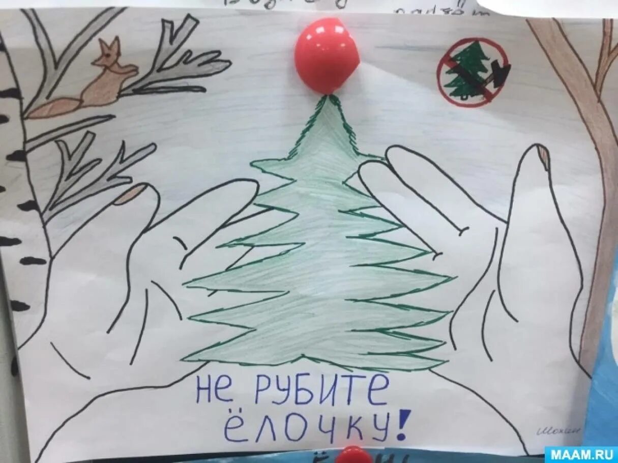 Берегите ели рисунки. Берегите ели рисунки