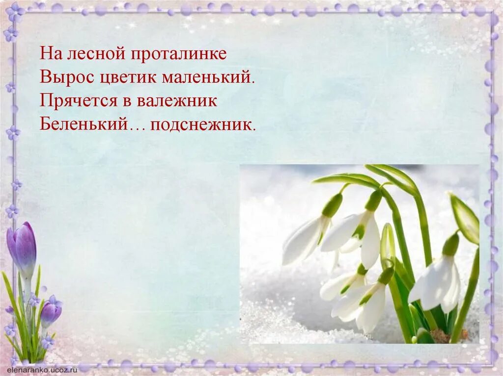 Подснежник слайд. Подснежники презентация для детей. Рамка подснежники. Рамки с подснежниками для детей. Девиз подснежники