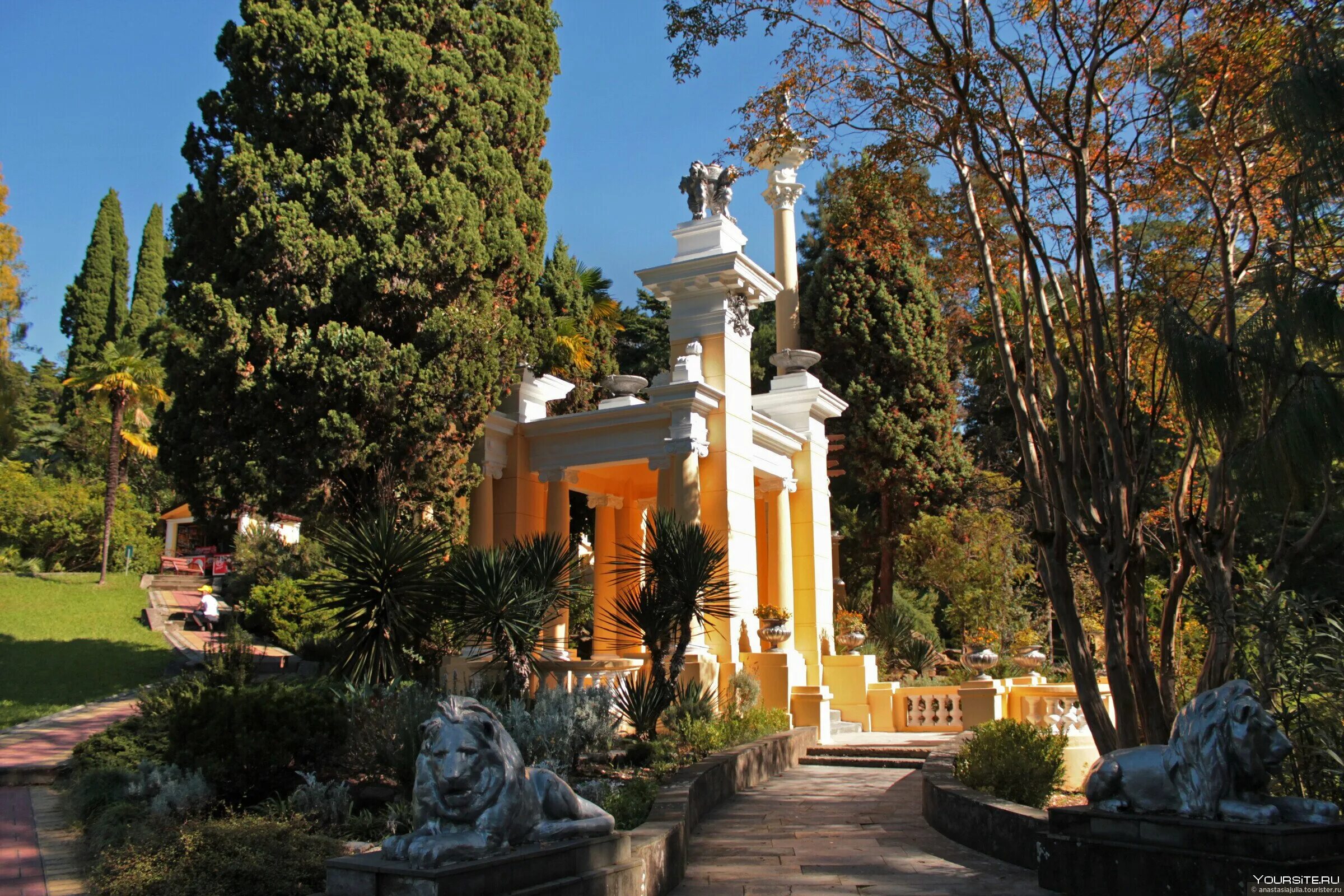 Парк дендрарий сочи. Сочинский парк дендрарий. Парк дендрарий сочи. Сочинский парк дендрарий. Сочинский парк дендрарий.