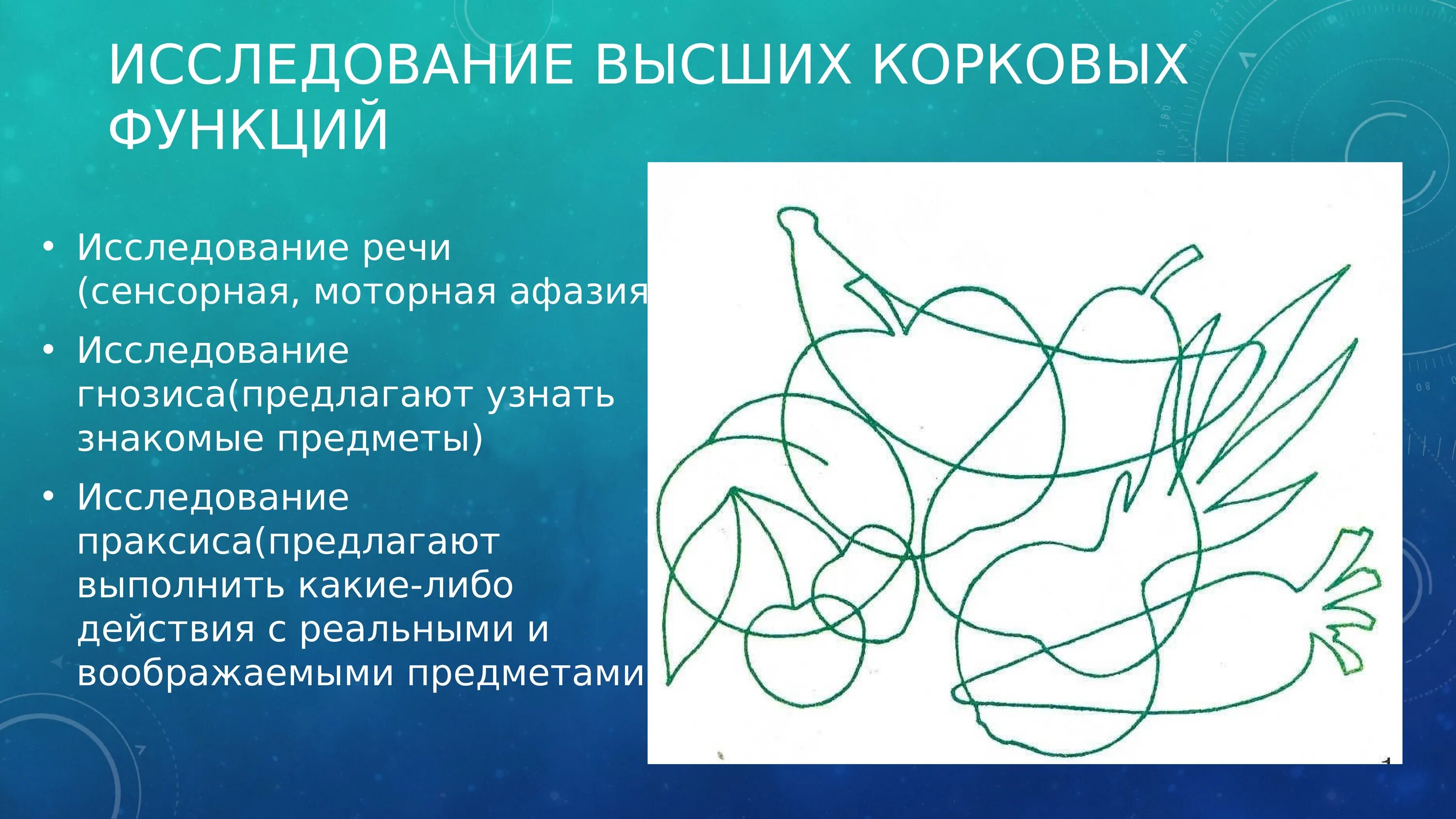 Нарушения зрительно пространственного гнозиса. Исследование высших корковых функций (праксиса, гнозиса).. исследование высших корковых функций. исследование праксиса и гнозиса. методики исследования зрительного гнозиса.