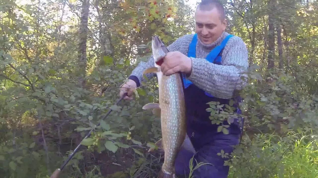 Видео про рыбалку на спиннинг