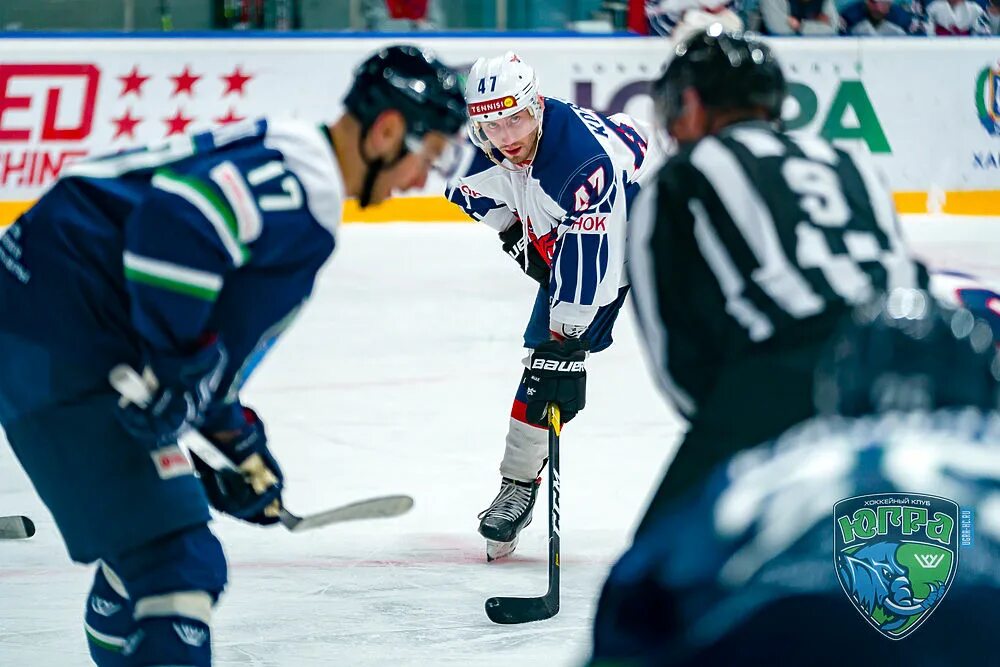 Сокол 2003 команда хоккей убогов. Сокол (хоккейный клуб, новочебоксарск). Хоккейная команда сокол. Сокол хоккейный клуб состав. Хоккей команда сокол красноярск.