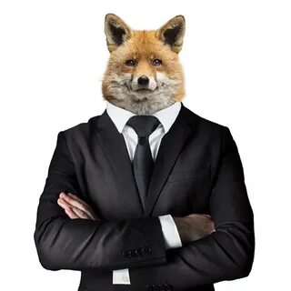 Man fox