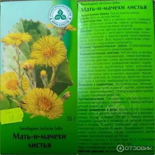 Мачеха перевод на русский язык