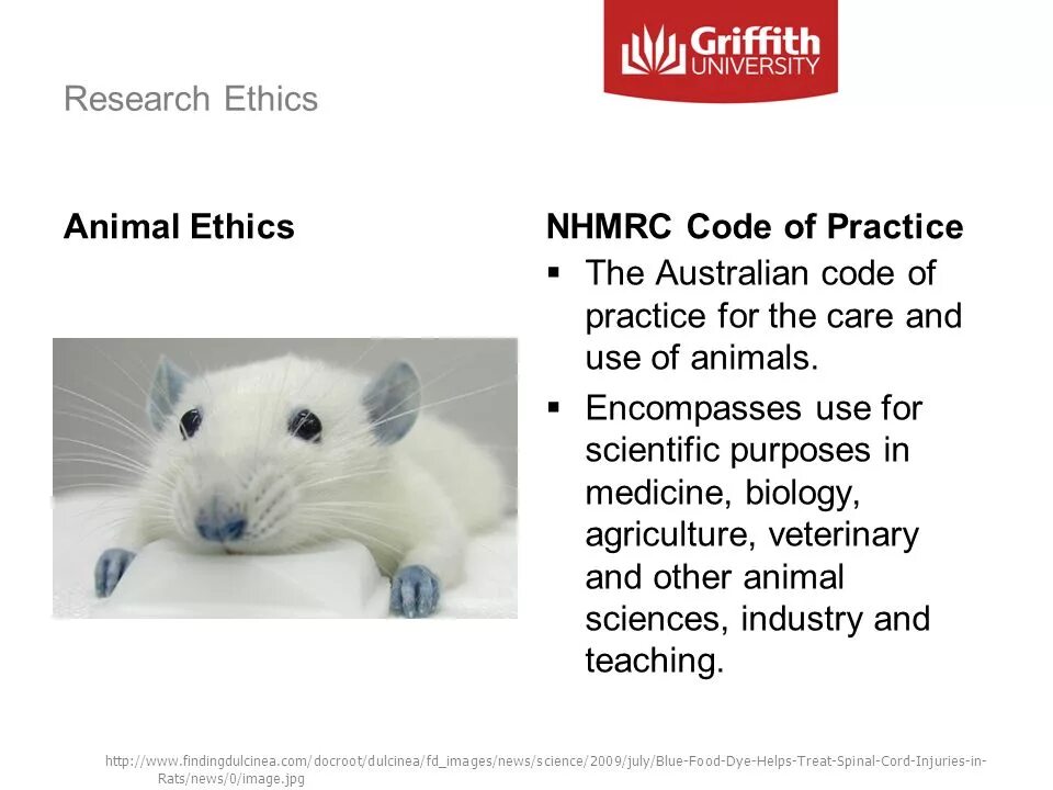 Use of animals. Scientific research animals. animal ethics. the use of animals for science purposes is ответы. research ethics.