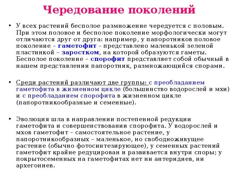 Бесполое и половое поколение растений. Чередование поколений полового размножения. Чередование поколений у растений. Размножение с чередованием поколений. Чередование поколений у растений с половым и бесполовым размножением.