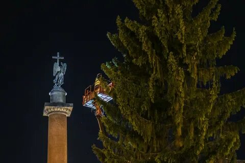 Жива спб